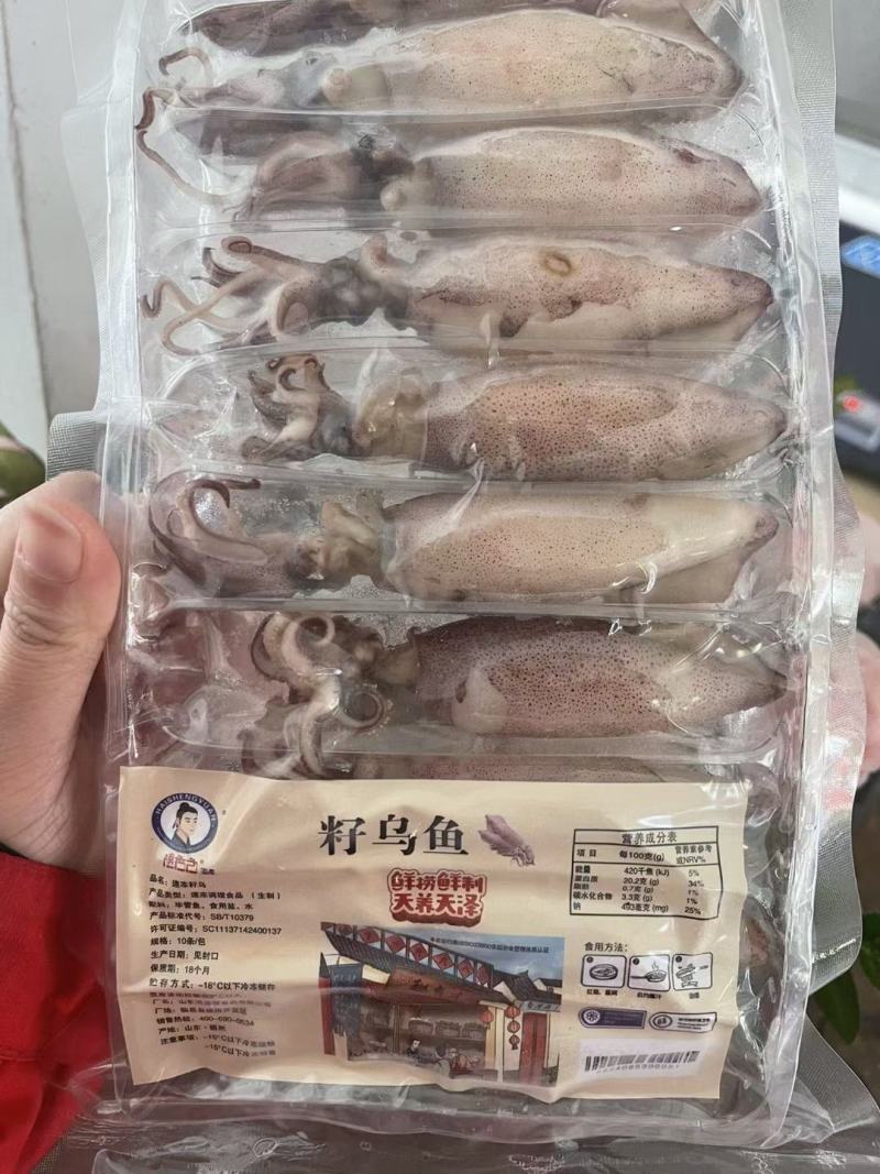 小八爪鱼