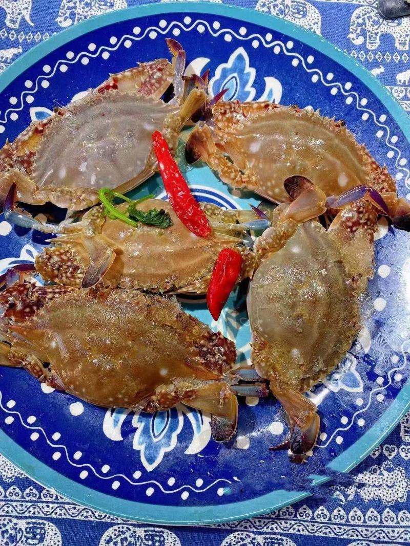 梭子蟹
