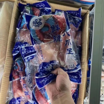 八爪鱼