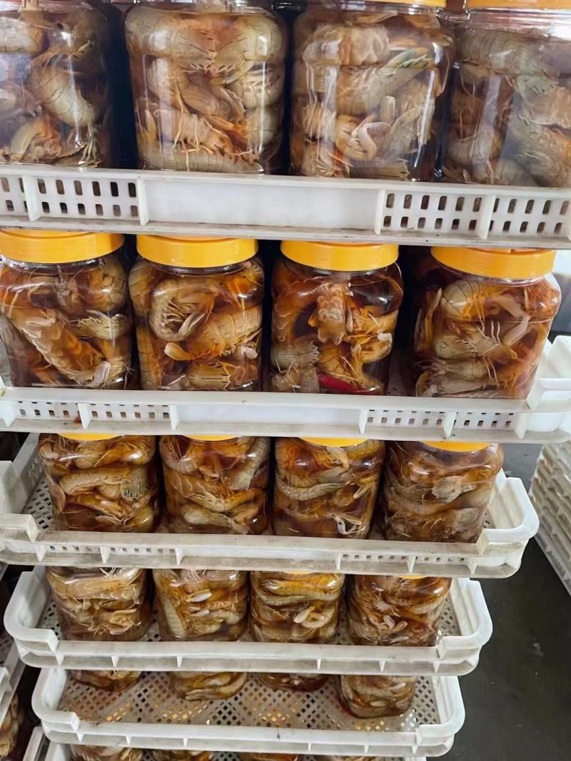 八爪鱼