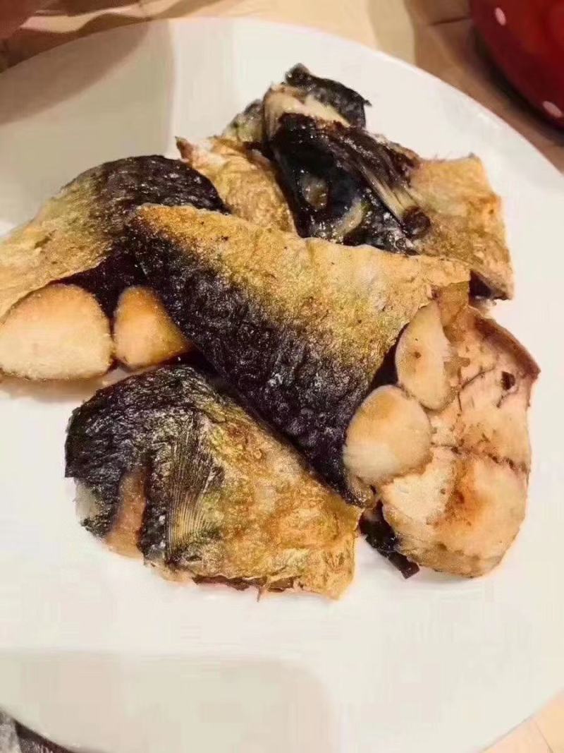 八爪鱼