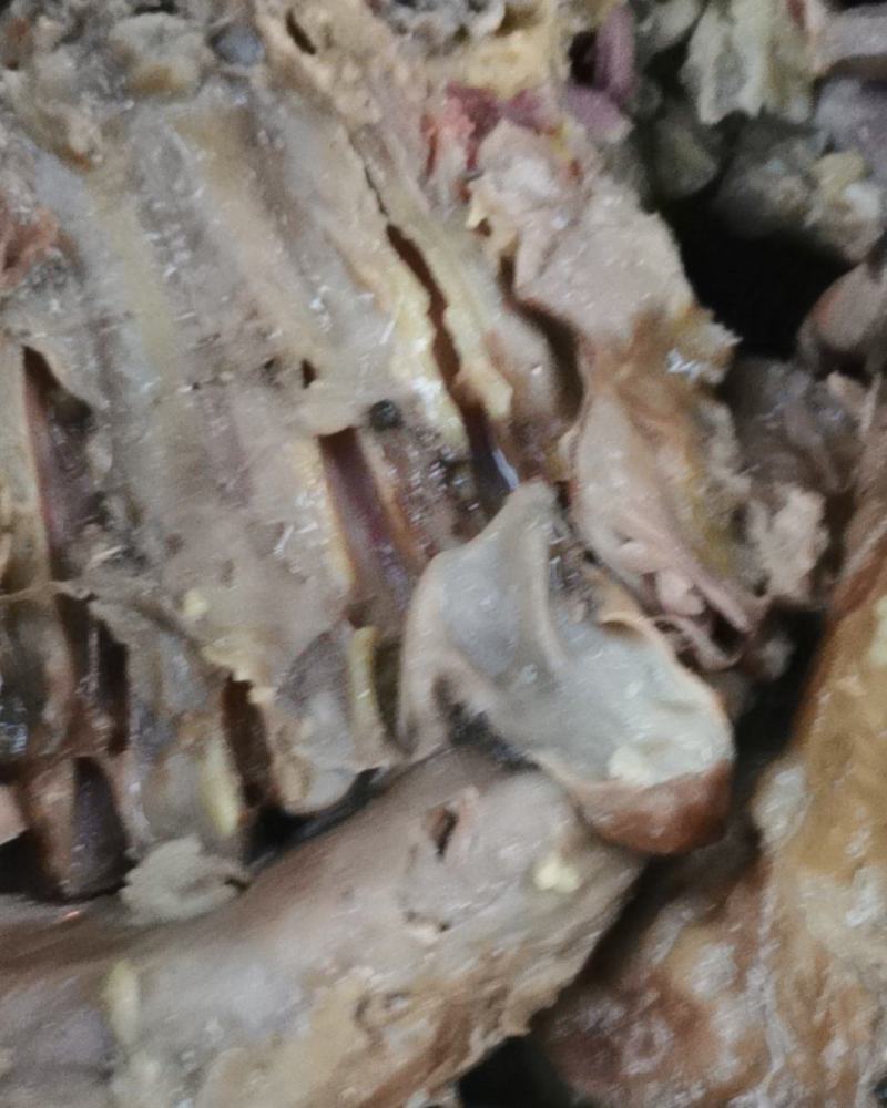 五香羊肉，熟羊肉羊排肉，麻辣羊肉，全熟五香羊肉