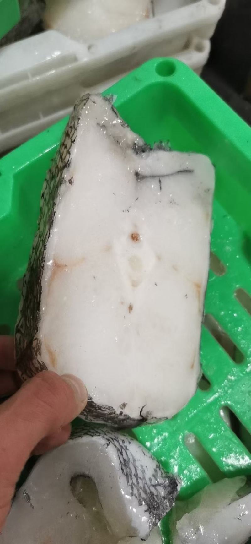 俄罗斯原装无冰鳕鱼块，营养价值高，厂家供应