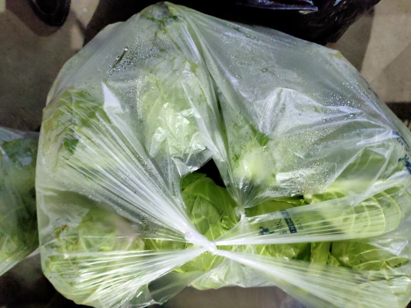甘肃优质圆包菜基地直供货源充足诚信合作欢迎采购