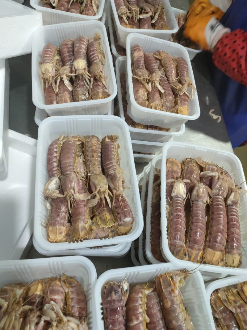 全规格，熟冻皮皮虾，大公中公小公，9成肉