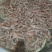 全规格，熟冻皮皮虾，大公中公小公，9成肉