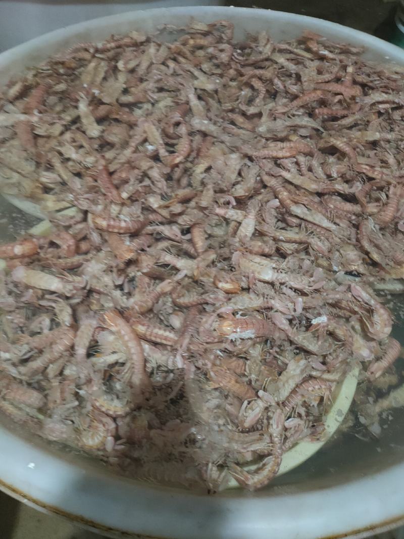 全规格，熟冻皮皮虾，大公中公小公，9成肉