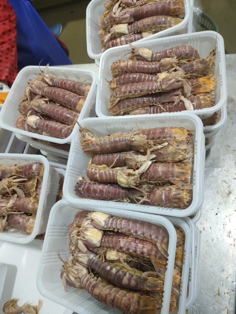 全规格，熟冻皮皮虾，大公中公小公，9成肉