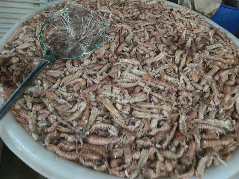 全规格，熟冻皮皮虾，大公中公小公，9成肉
