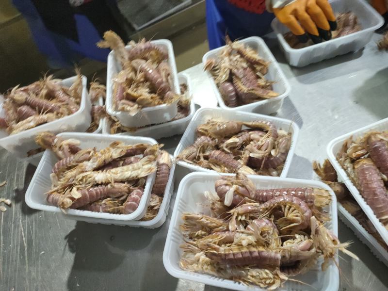 全规格，熟冻皮皮虾，大公中公小公，9成肉