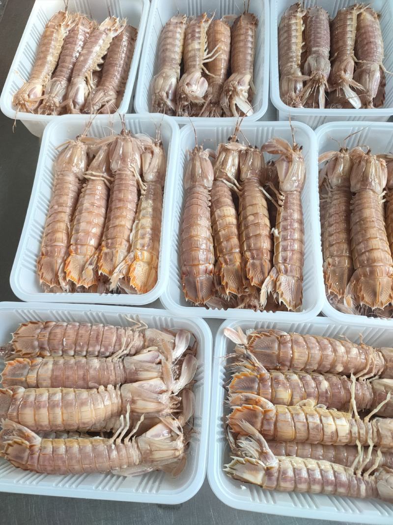 全规格，熟冻皮皮虾，大公中公小公，9成肉