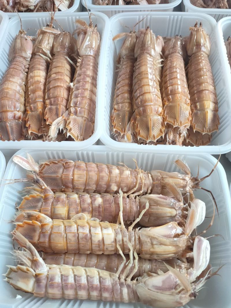 全规格，熟冻皮皮虾，大公中公小公，9成肉