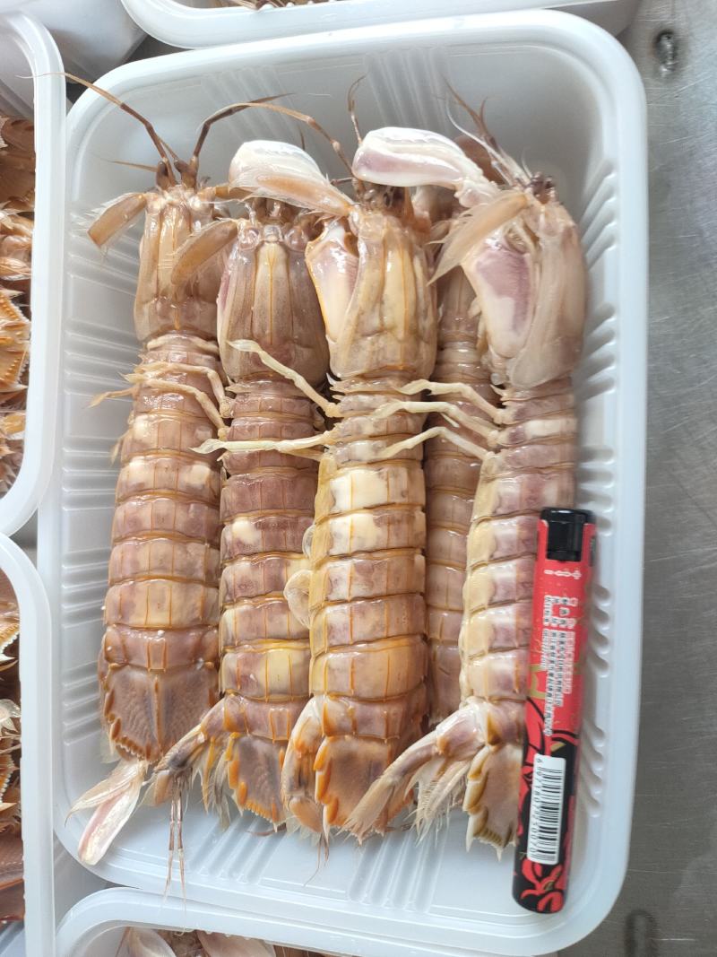 全规格，熟冻皮皮虾，大公中公小公，9成肉