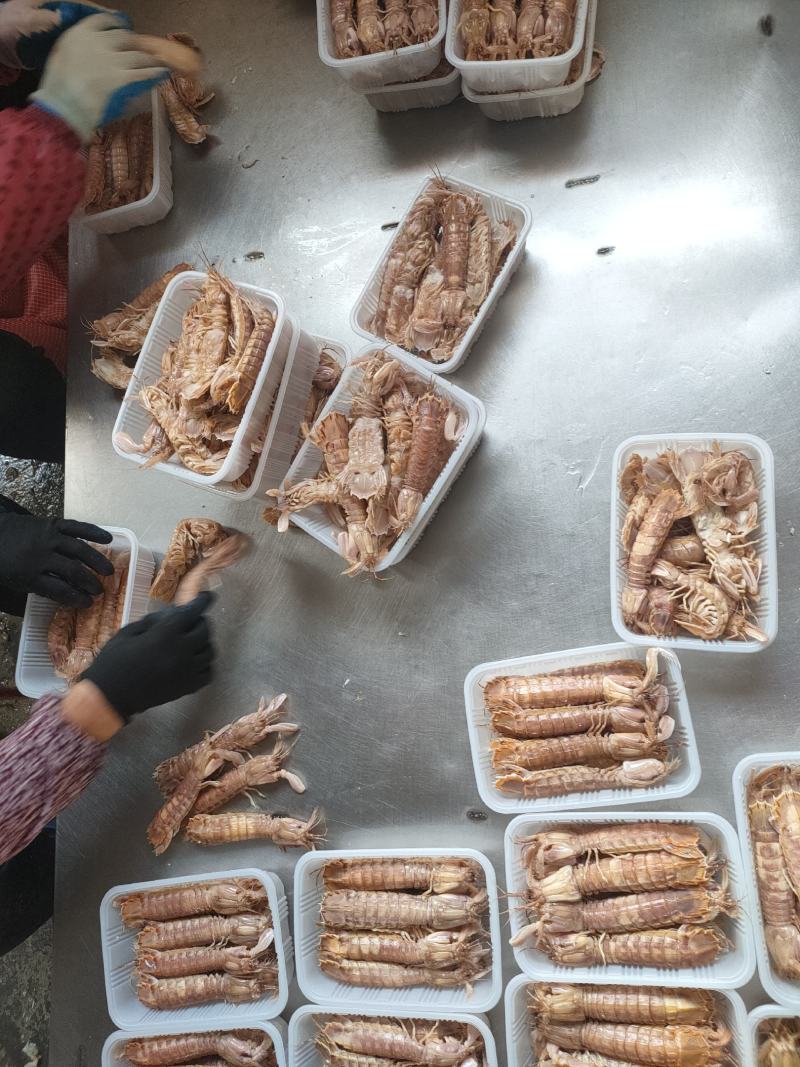 全规格，熟冻皮皮虾，大公中公小公，9成肉