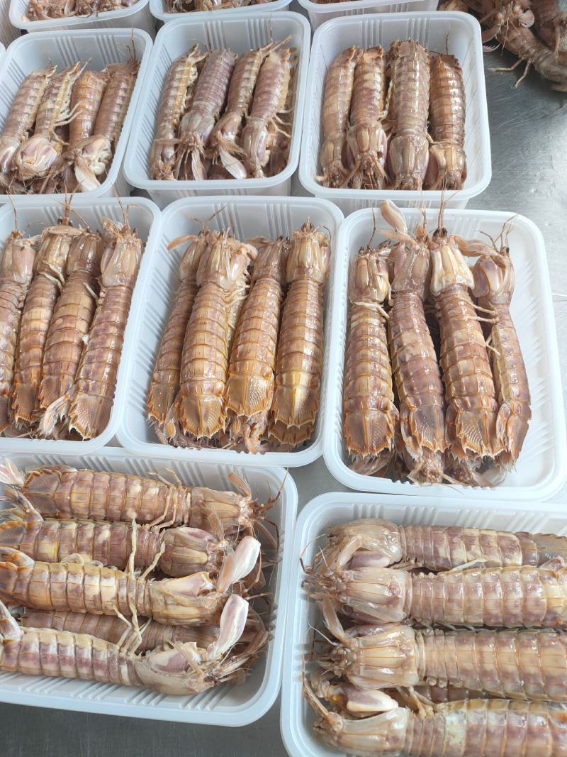 全规格，熟冻皮皮虾，大公中公小公，9成肉