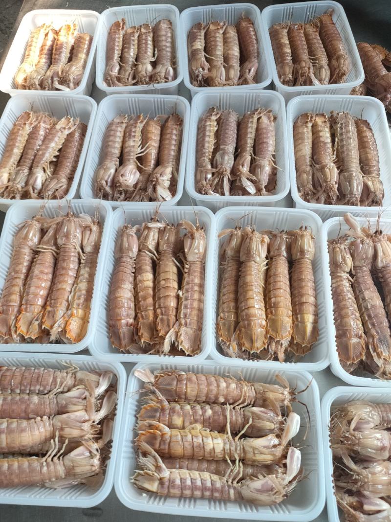 全规格，熟冻皮皮虾，大公中公小公，9成肉