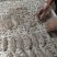 精品原浆皮皮虾