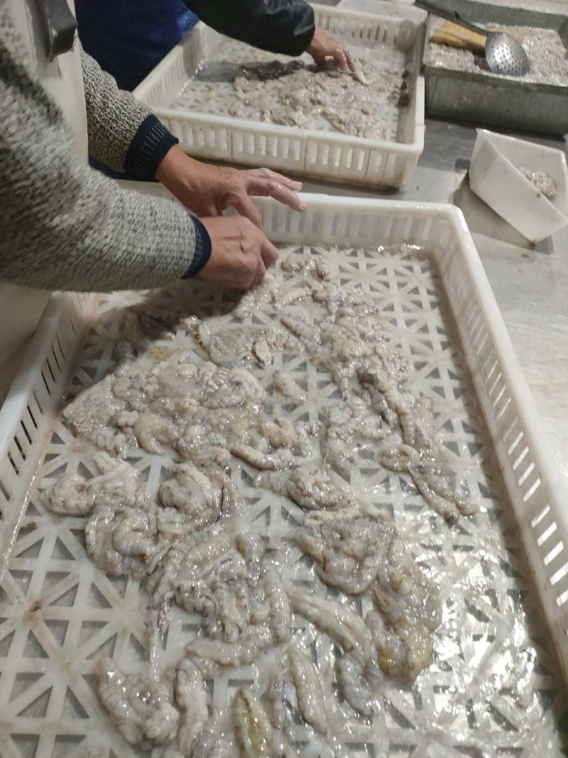 精品原浆皮皮虾