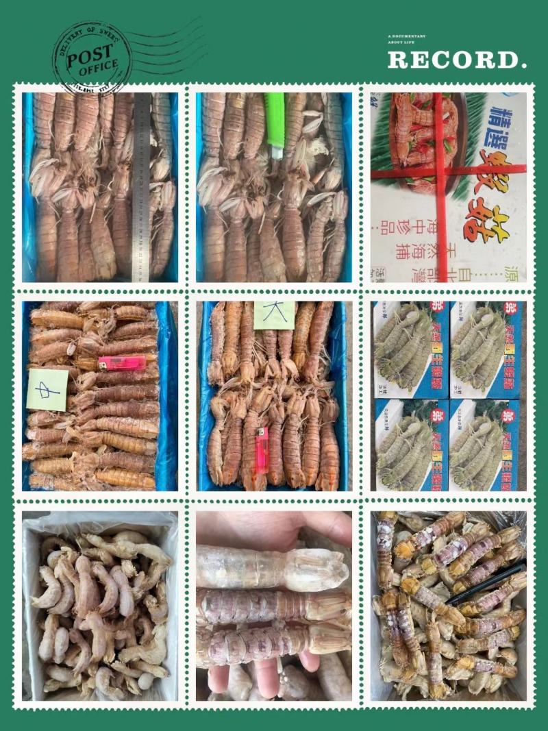 礼盒装熟冻皮皮虾