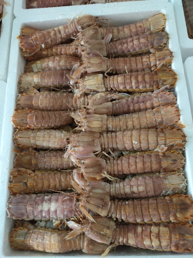 礼盒装熟冻皮皮虾
