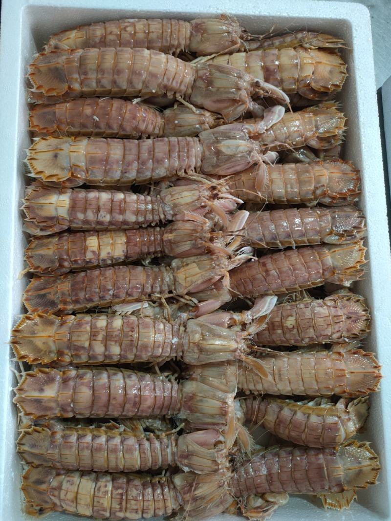 礼盒装熟冻皮皮虾