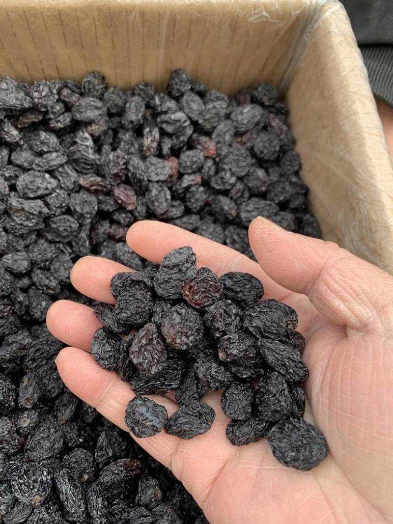 新郁黑皇后葡萄干，新疆特产，新品上市，欢迎品尝。