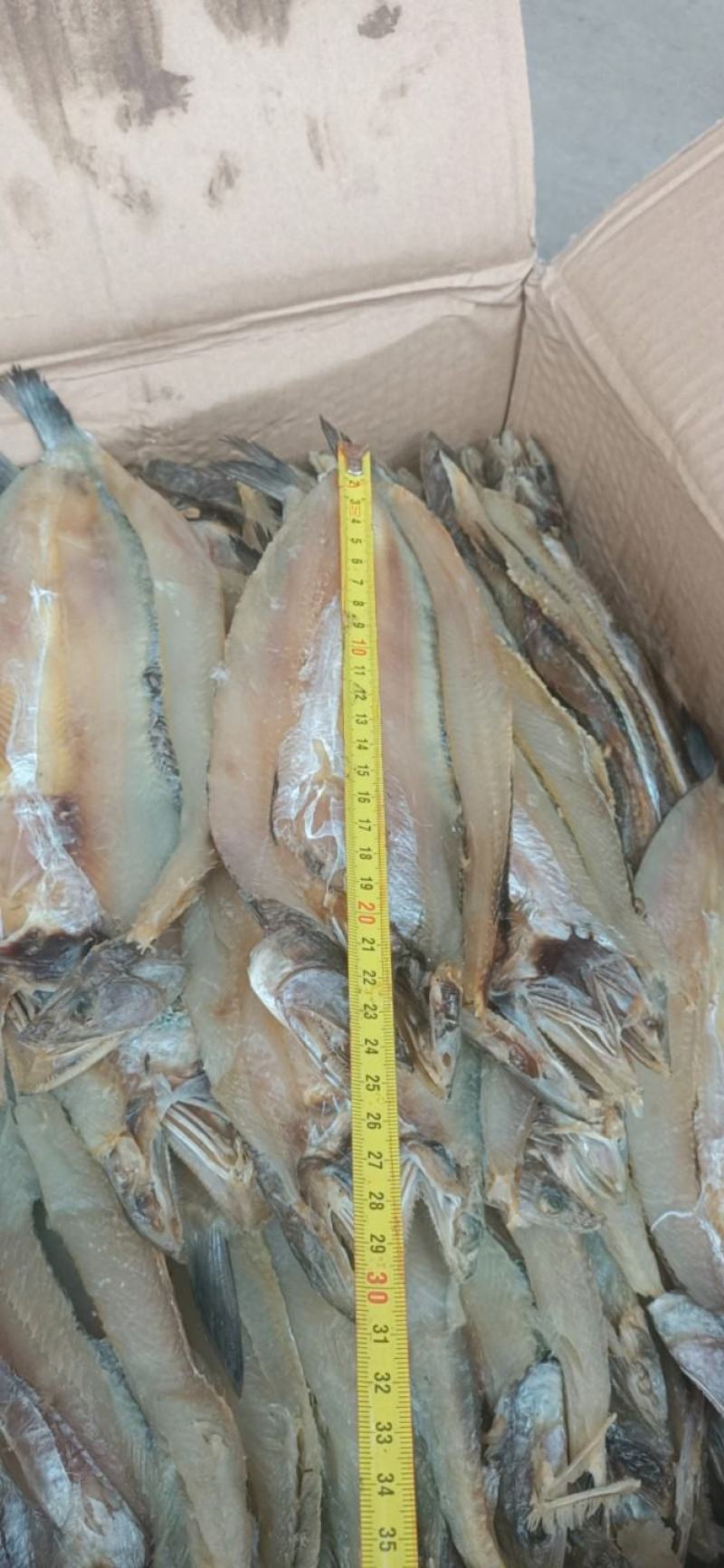 香梭片，腌制咸鱼，单条7两左右，鱼肉质新鲜，没有小碎刺。