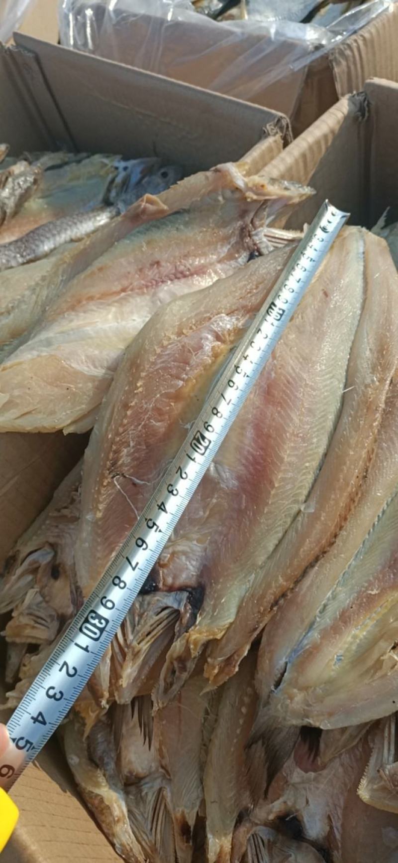 香梭片，腌制咸鱼，单条7两左右，鱼肉质新鲜，没有小碎刺。