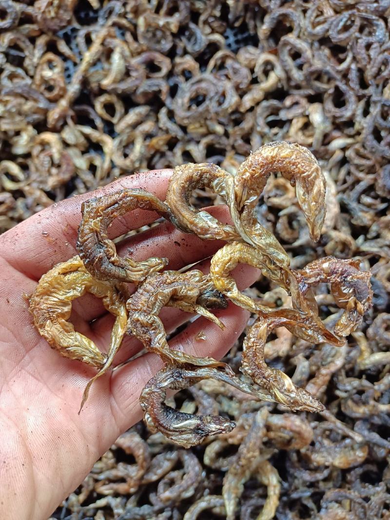 烟熏的泥鳅干