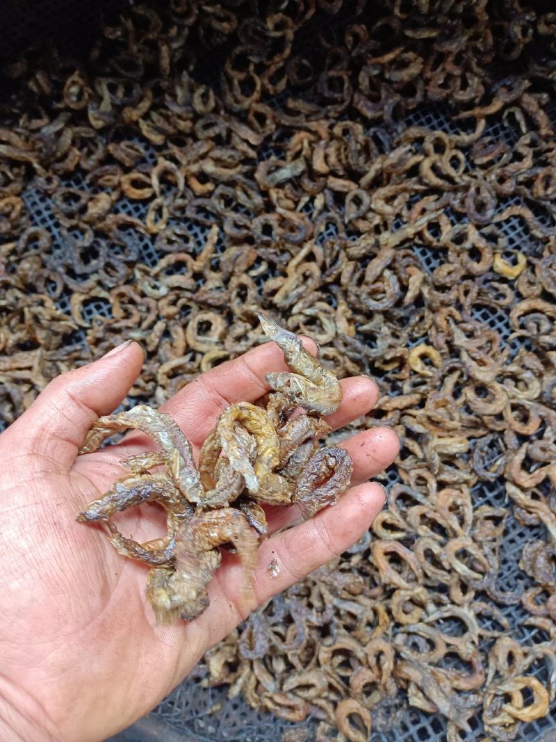 烟熏的泥鳅干