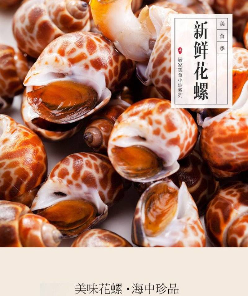 【厂家直销】花螺鲜活冷冻新鲜海鲜螺类东风螺贝类猫眼螺冰冻
