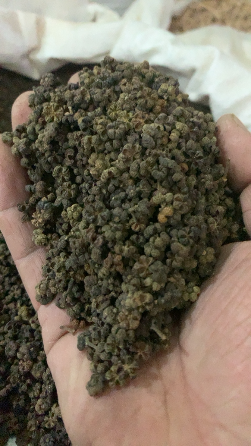 吴茱萸吴茱萸中花江西欢迎选购一手货源合作共赢专注品质