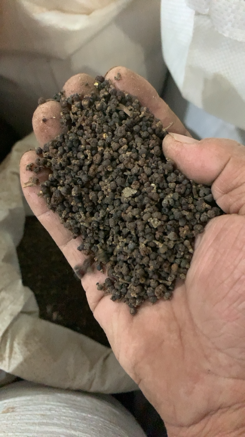 吴茱萸吴茱萸中花江西欢迎选购一手货源合作共赢专注品质