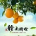 赣南脐橙，果园直发，