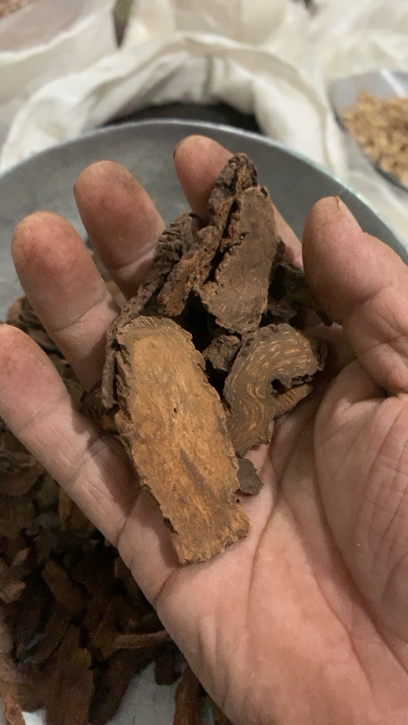锁阳锁阳统货质量好过筛干净假一赔十产地新疆