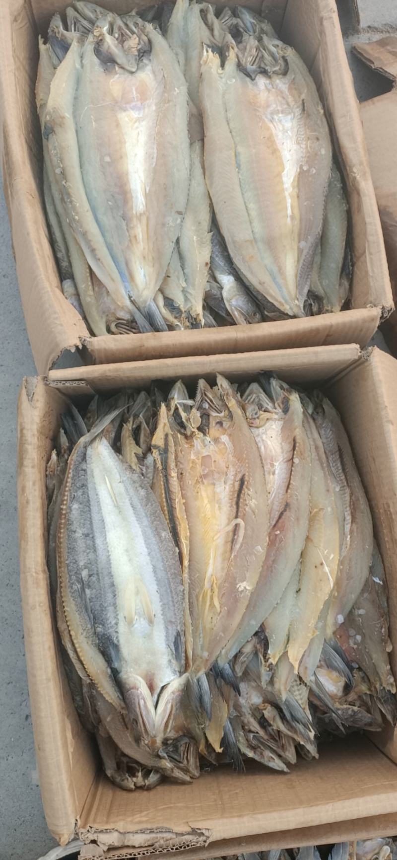香梭片，腌制咸鱼，单条7两左右，鱼肉质新鲜，没有小碎刺。