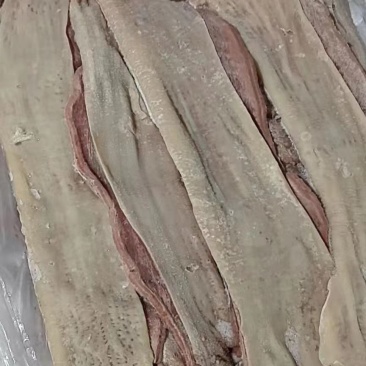牛圆小肠，去油牛大肠，一手货源，厂家直销