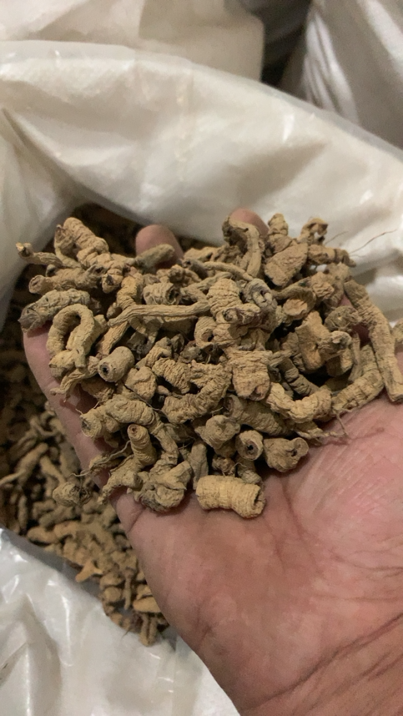 巴戟巴戟肉抽心统货过筛去泥颜色好产地直供各种规格