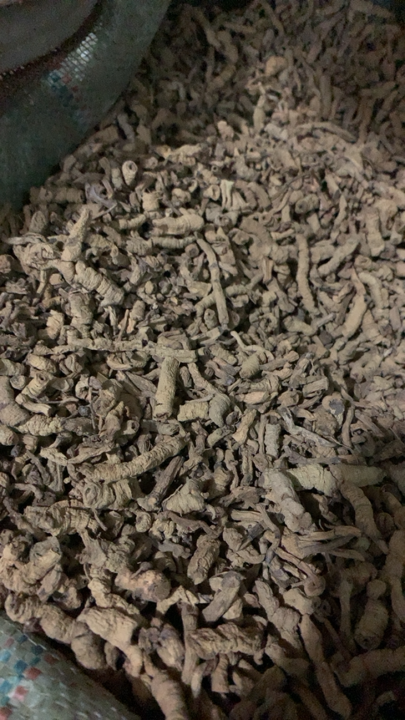 巴戟巴戟肉抽心统货过筛去泥颜色好产地直供各种规格