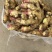 山东红芽鲜姜大量上市，大小黄姜货源充足，全国物流发货