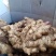 山东红芽鲜姜大量上市，大小黄姜货源充足，全国物流发货