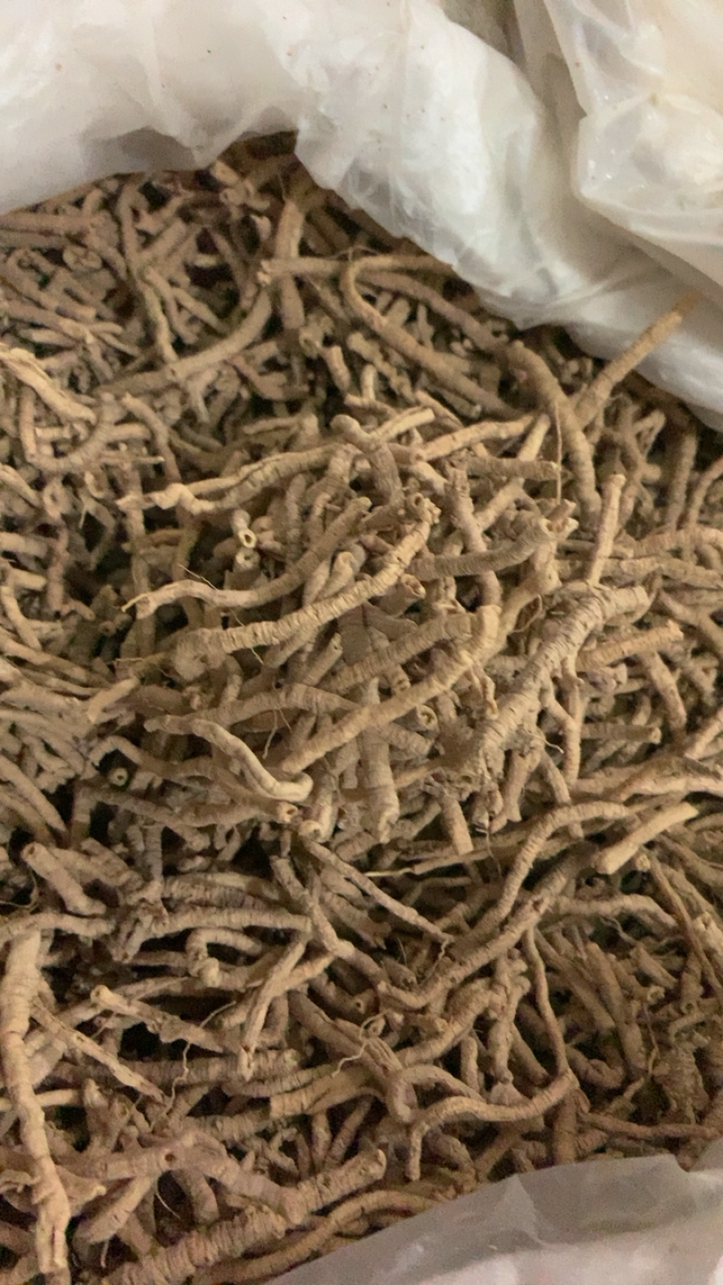 远志远志肉产地山西药典标准地道药材中药批发规格齐全
