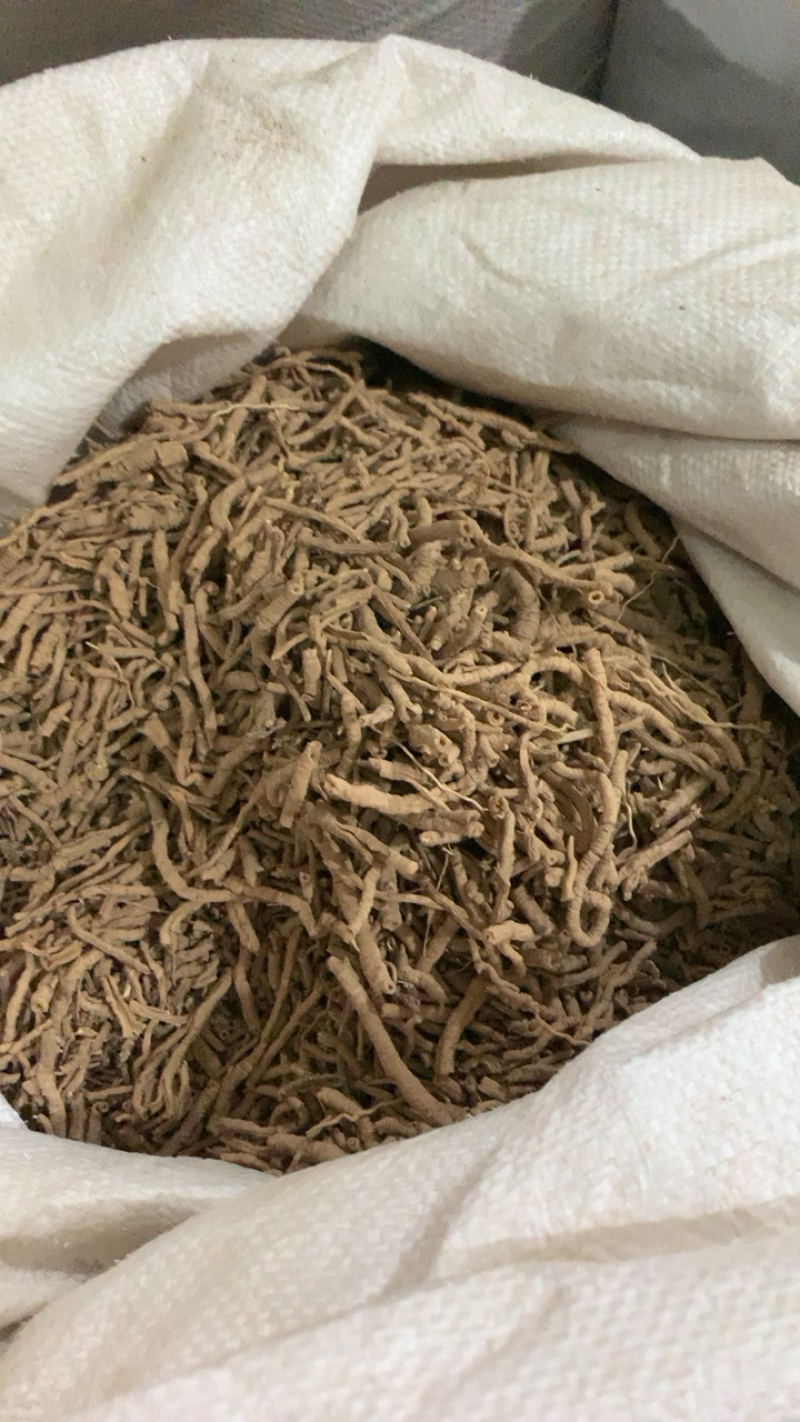 远志远志肉产地山西药典标准地道药材中药批发规格齐全