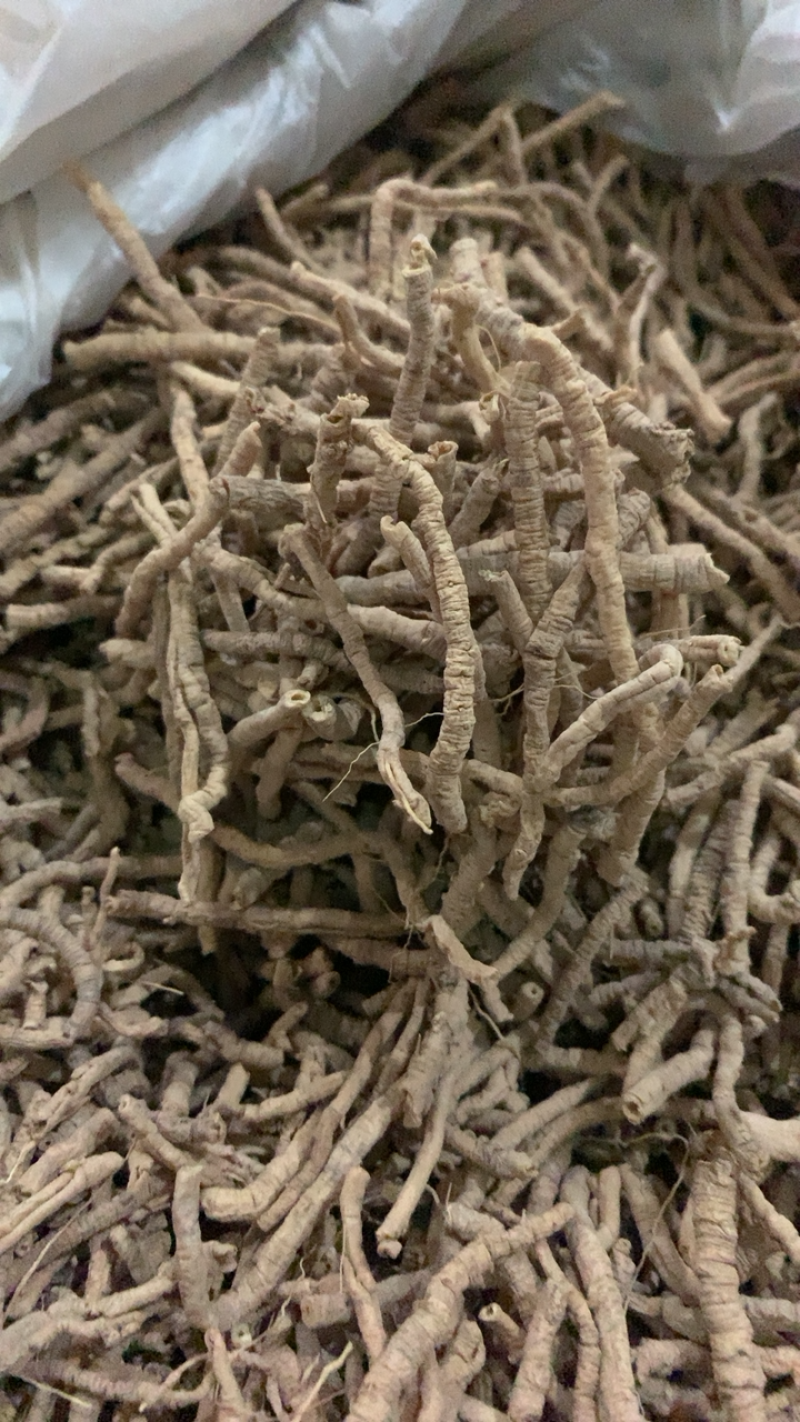 远志远志肉产地山西药典标准地道药材中药批发规格齐全