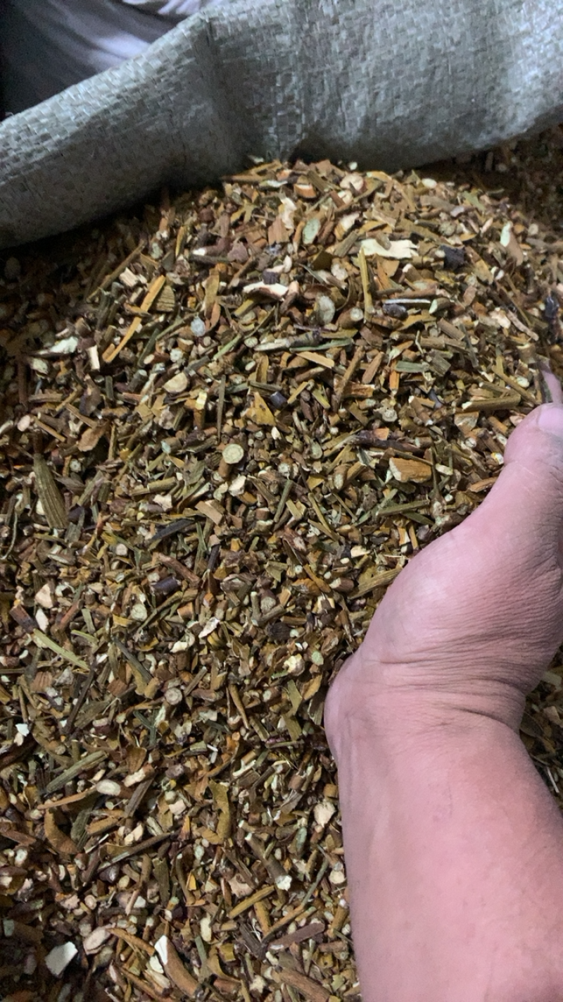 槲寄生寄生统货质量好价格低产地直销中药材批发