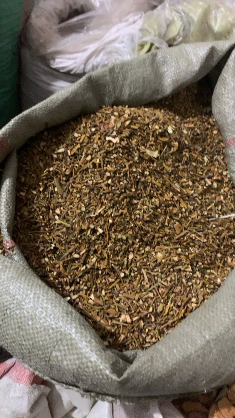 槲寄生寄生统货质量好价格低产地直销中药材批发