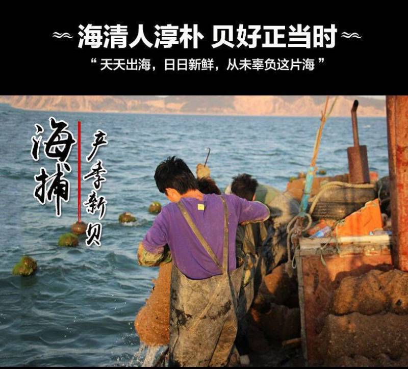 一斤30粒左右大号海捕扇贝肉新鲜冷冻海鲜鲜活扇贝肉