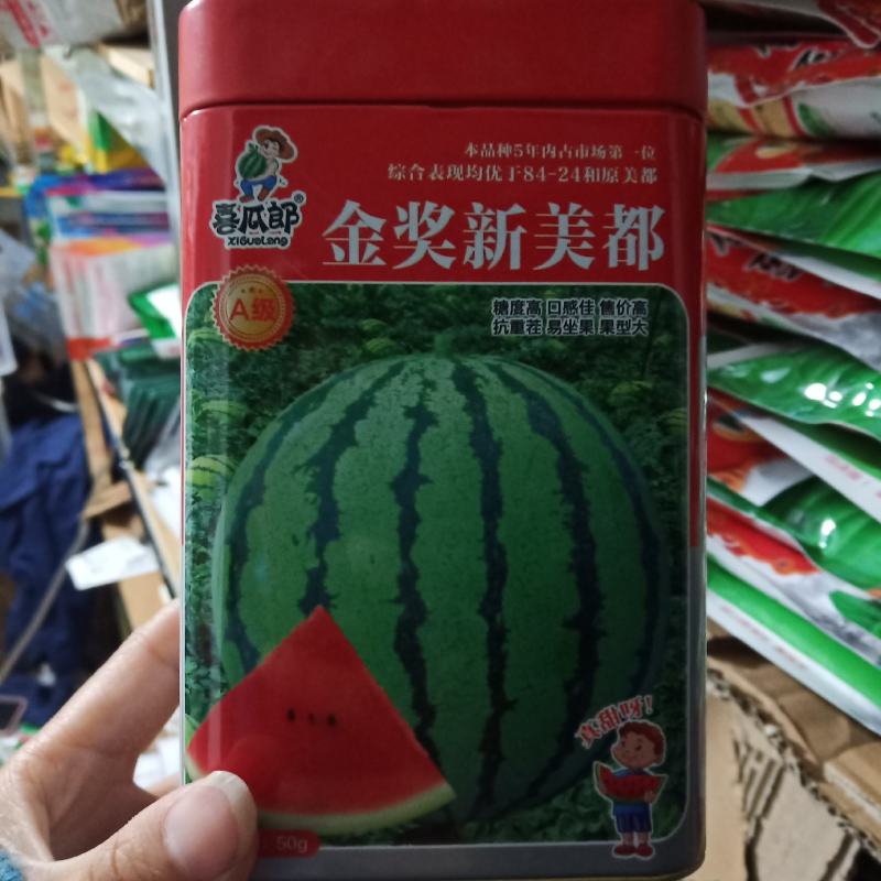 金奖美都西瓜种子原装正品大红瓤露天种植品种种子