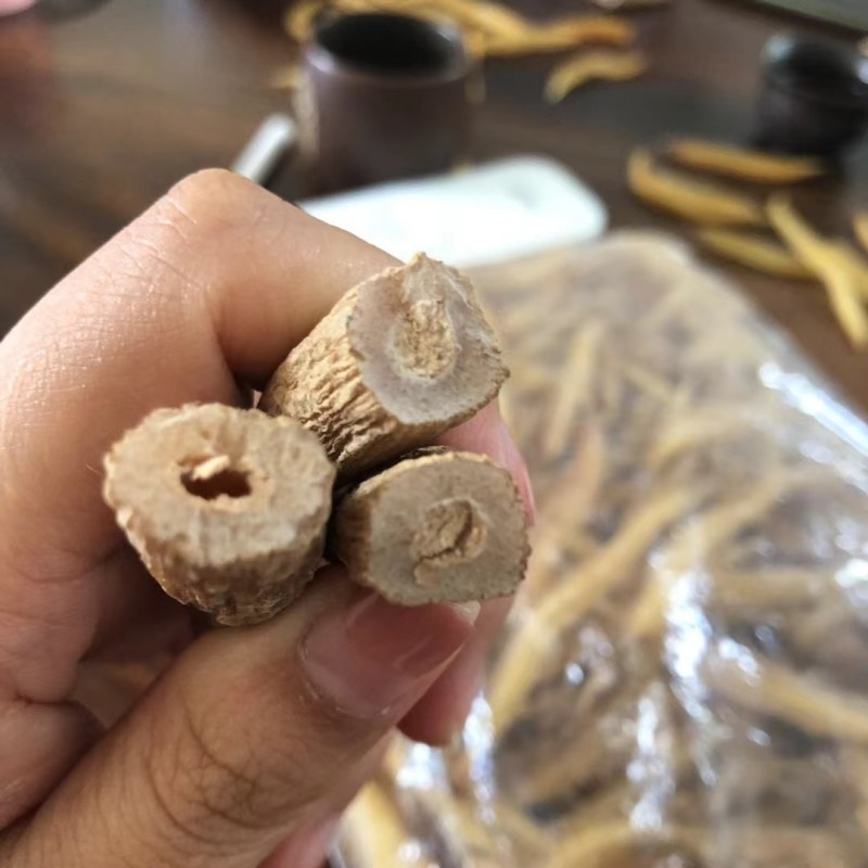 百部苗，红花品种，紫花品种均有，对叶大百部