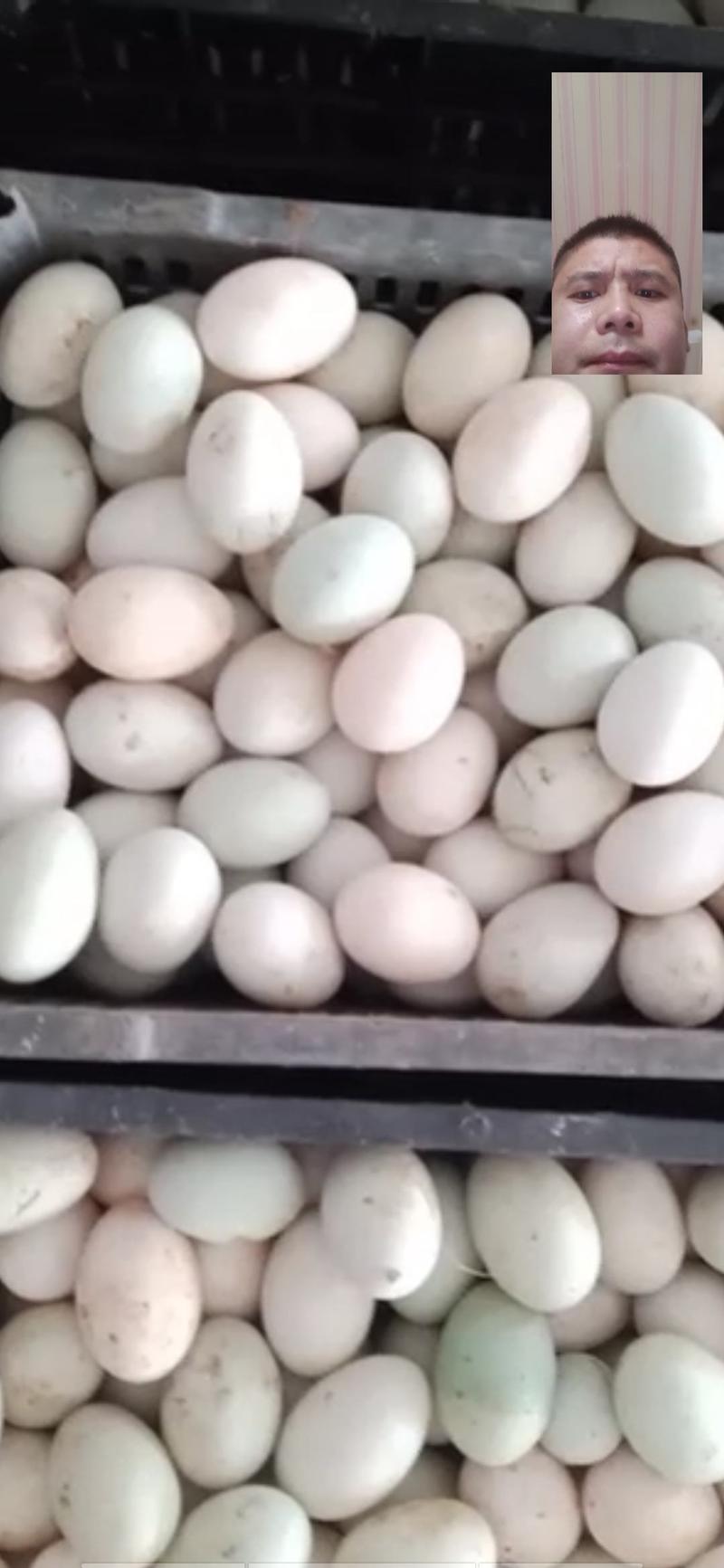 哑子鸭蛋，经纹蛋，裂纹蛋，红心鸭蛋，哑巴蛋🥚